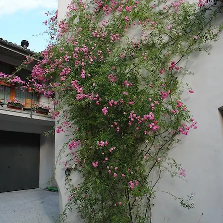 Guest Apartament Clarice Apartment *